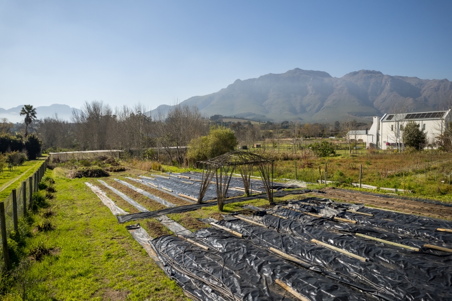0 Bedroom Property for Sale in Jamestown Western Cape